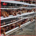 Sistema automático de jaula de cría de pollos de huevo / broiler